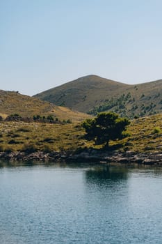 Reflection of lonely green tree and hills of Dugi Otok island in calm waters of Adriatic Sea, Croatia