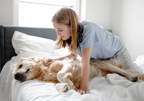 Girl Plays With Golden Retriever In Bed In The Morning In A Bright Room