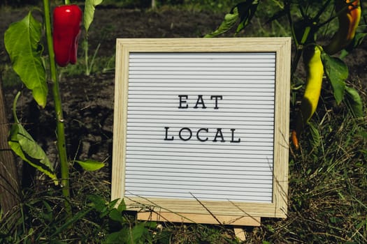 Letter board with text EAT LOCAL on background of garden bed with bell pepper. Organic farming, produce local vegetables concept. Supporting local farmers. Seasonal market