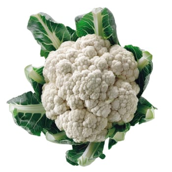 A white cauliflower with green leaves on white background. High quality photo.