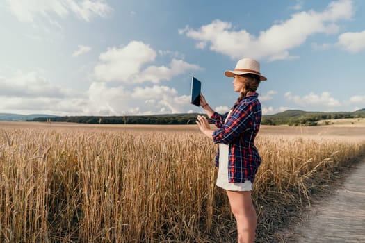 Woman farmer walks through a wheat field at sunset, touching green ears of wheat with his hands. Hand farmer is touching ears of wheat on field in sun, inspecting her harvest. Agricultural business.