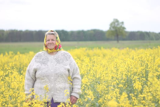 An old woman in yellow headcrarf and purple scirt enjoying a walk in the open air. Photo in the field full of yellow flowers . High quality photo