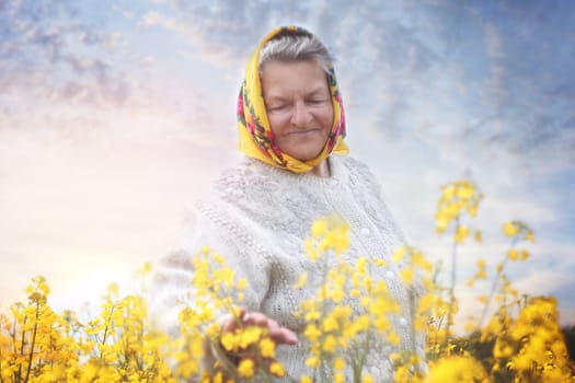 An old woman in yellow headcrarf and purple scirt enjoying a walk in the open air. Photo in the field full of yellow flowers . High quality photo