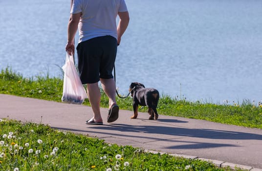 A man and a dog on a leash next to a body of water.