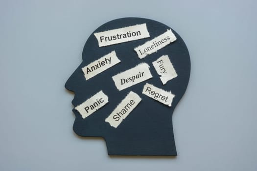 Model of a head and words anxiety frustration, panic and despair as negative emotions.