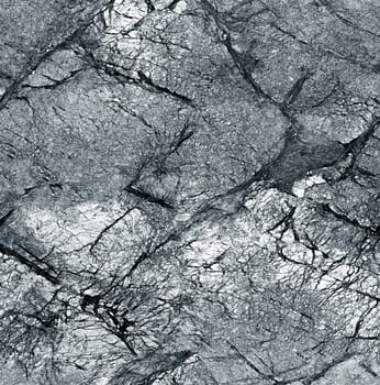 The background texture of the stone surface is gray with large cracks and irregularities