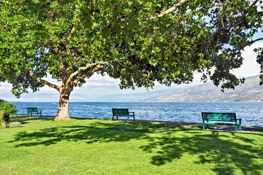 Recreation park along a waterfront pathway on Okanagan lake in British Columbia.