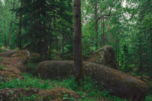 Taiga forest and rocks of the Stolby nature reserve park, Krasnoyarsk, Russia