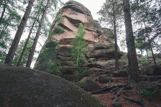 Taiga forest and rocks of the Stolby nature reserve park, Krasnoyarsk, Russia