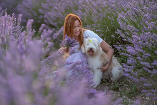 A woman sits in a field of lavender flowers with her dog. The scene is peaceful and serene, with the woman and her dog enjoying each other's company in the beautiful surroundings