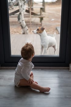 The dog stands at the patio window and asks to go inside the house to the baby boy on the other side of the door. Vertical photo