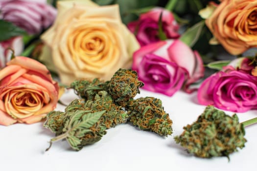 Cannabis buds and roses close up on white surface beauty of nature, medical benefits, aesthetic harmony