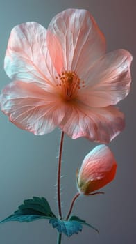 Pink flower with bud in center of petals symbol of beauty and growth in nature