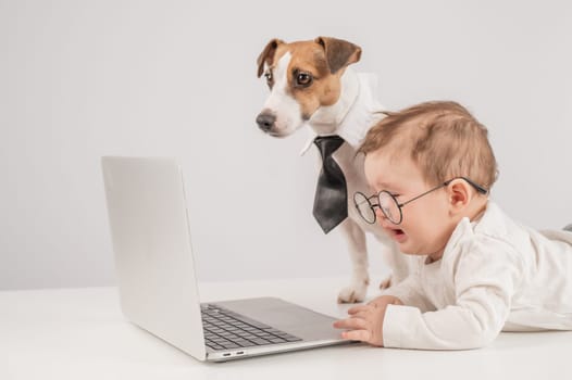 Cute baby boy and Jack Russell terrier dog working on a laptop