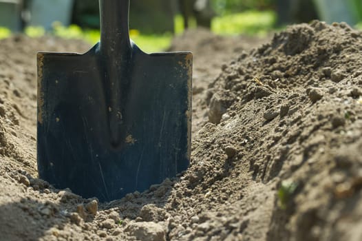 Shovel embedded in the ground within a well-maintained soil used for gardening