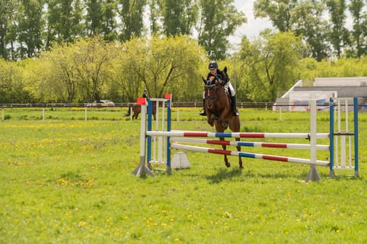 A young girl goes in for horse riding. A horse jumps over a barrier