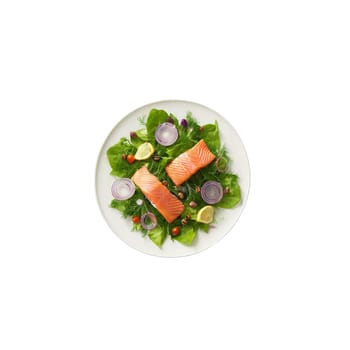 Smoked salmon salad ingredients above arranged plate smoked salmon red onion and capers hovering breezily. Food isolated on transparent background.