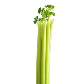 Crunchy celery stalks twirling leaves fluttering juice dripping Apium graveolens Food and Culinary concept. Food isolated on transparent background.