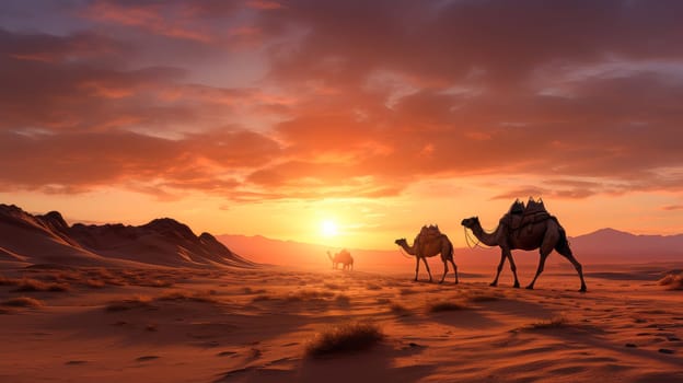 Tuareg with camels walk thru the desert on the western part of The Sahara Desert in Morocco. The Sahara Desert is the world's largest hot desert. Beautiful landscape, picture, phone screensaver, copy space, advertising, travel agency, tourism