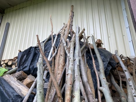 Aspen trunks for planting vegetables in a the garden