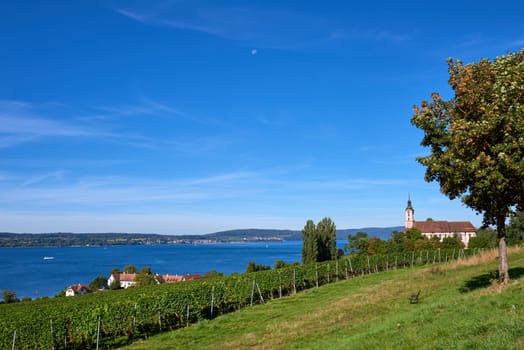 Bodensee Panorama: Alps on the Horizon, Vineyards, and Pastoral Beauty. Alpine Horizon: Bodensee, Vineyards, and Quaint Villages in the German Countryside. Vineyard Vistas: Bodensee, Alpine Peaks, and the Rural Charm of German Agriculture. Rural Tranquility: Bodensee Overlooking Pastures, Vineyards, and Traditional Villages,