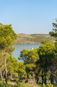 Summer landscape with coniferous green forest, modern yacht sailing in blue waves of Mir lake in Telascica National Park, Croatia