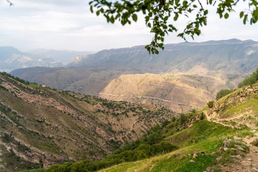 Caucasian mountain. Dagestan. Trees, rocks, mountains, view of the green mountains. Beautiful summer landscape