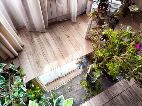 A glass tabletop reflects vase of green plants and a window with white curtains