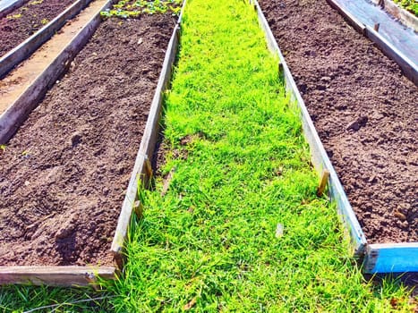 Close-up garden beds, prepared for planting in springtime