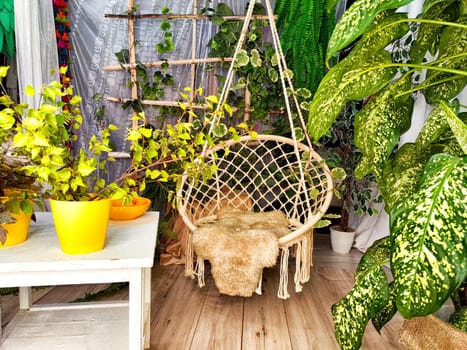 Modern cozy beautiful room with a braided rope macrame chair, green plants and a window with curtains. Interior and background. Location for photo shooting