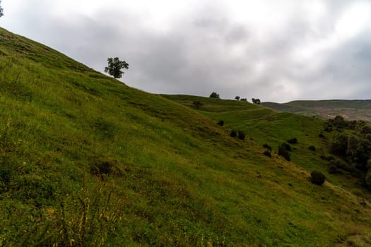 Caucasian mountain. Dagestan. Trees, rocks, mountains, view of the green mountains. Beautiful summer landscape