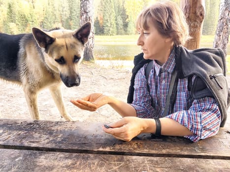 Girl treats a German Shepherd dog at a wooden table in nature. Mature middle aged woman with a pet