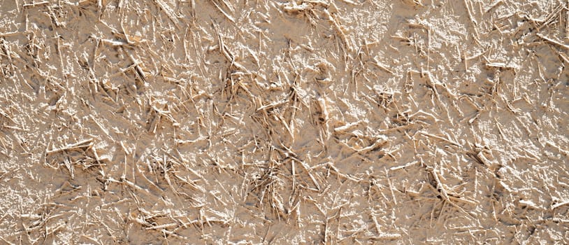 texture of an old ancient Asian clay wall with straw close up