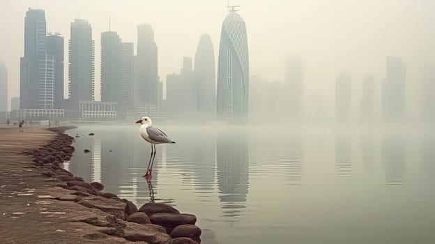 A seagull stands on a rocky shore near a body of water. The sky is overcast, and the city in the background is visible