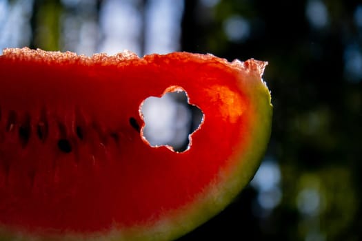 Fresh juicy red watermelon slice flower shaped in hands on background of outdoor garden in summertime during sunset. Concept of summer holidays and vacation. Slow-living simple pleasures