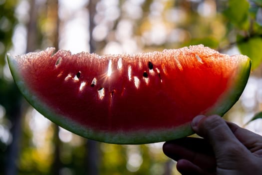 Summer seasonal food. Juicy red watermelon slice outdoors summertime holidays sunbeams. Concept of enjoying the moment in fresh air. Sustainable calm lifestyle pastoral life cottagecore escapism