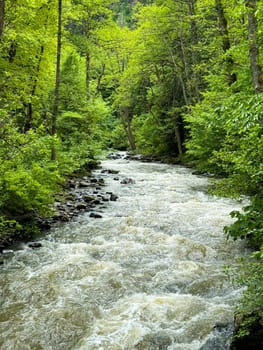 Georgia. Borjomi National Historical Park. May 19, 2024. Fast flowing river surrounded by lush green trees in forest. Nature landscape capturing the essence of wilderness and tranquility. High quality