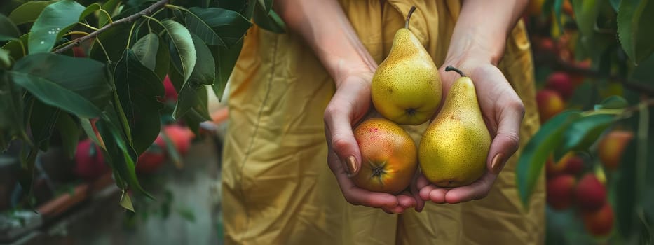 Harvest in the hands of a woman in the garden. Selective focus. nature.