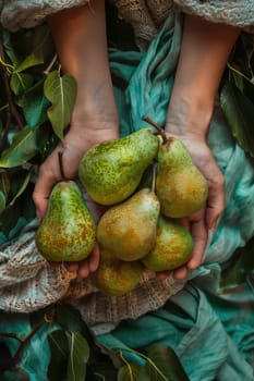 Harvest in the hands of a woman in the garden. Selective focus. nature.