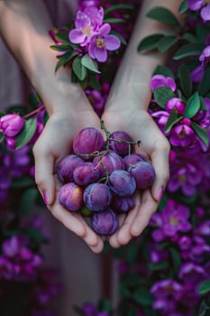 Harvest in the hands of a woman in the garden. Selective focus. nature.