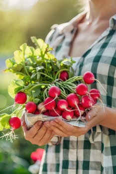 Harvest in the hands of a woman in the garden. Selective focus. nature.