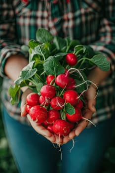 Harvest in the hands of a woman in the garden. Selective focus. nature.