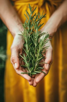 Harvest in the hands of a woman in the garden. Selective focus. nature.