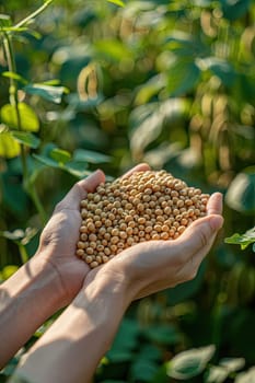 Harvest in the hands of a woman in the garden. Selective focus. nature.