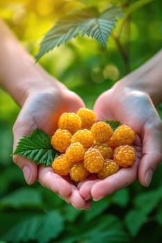 Harvest in the hands of a woman in the garden. Selective focus. nature.