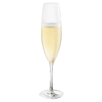 Rogaska Expert Champagne flute handmade crystal glass tall slender bowl pale champagne with rising bubbles. Close-up wine glass, isolated on transparent background