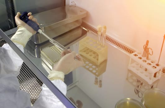 A scientist in a white lab coat and purple gloves works meticulously in a biosafety cabinet, using a digital pipette to transfer a clear test fluid with precision and care.