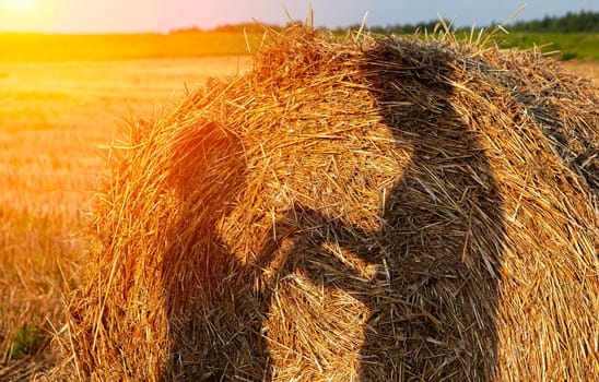 A picturesque scene capturing the glowing sun shining through a round hay bale in a rural field during summertime, with ample copy space beside the bale for text or design elements.