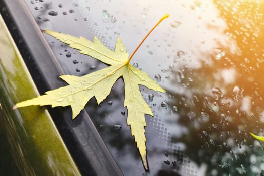 Fallen autumn leaf on the windshield of a car, it's time to prepare the car for winter.