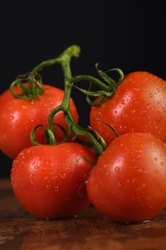 Fresh ripe red tomato branch on a rusty, redhead table with water drops. Dark background. Close-up. Vertical photo. Poster for vegetable market or shop.